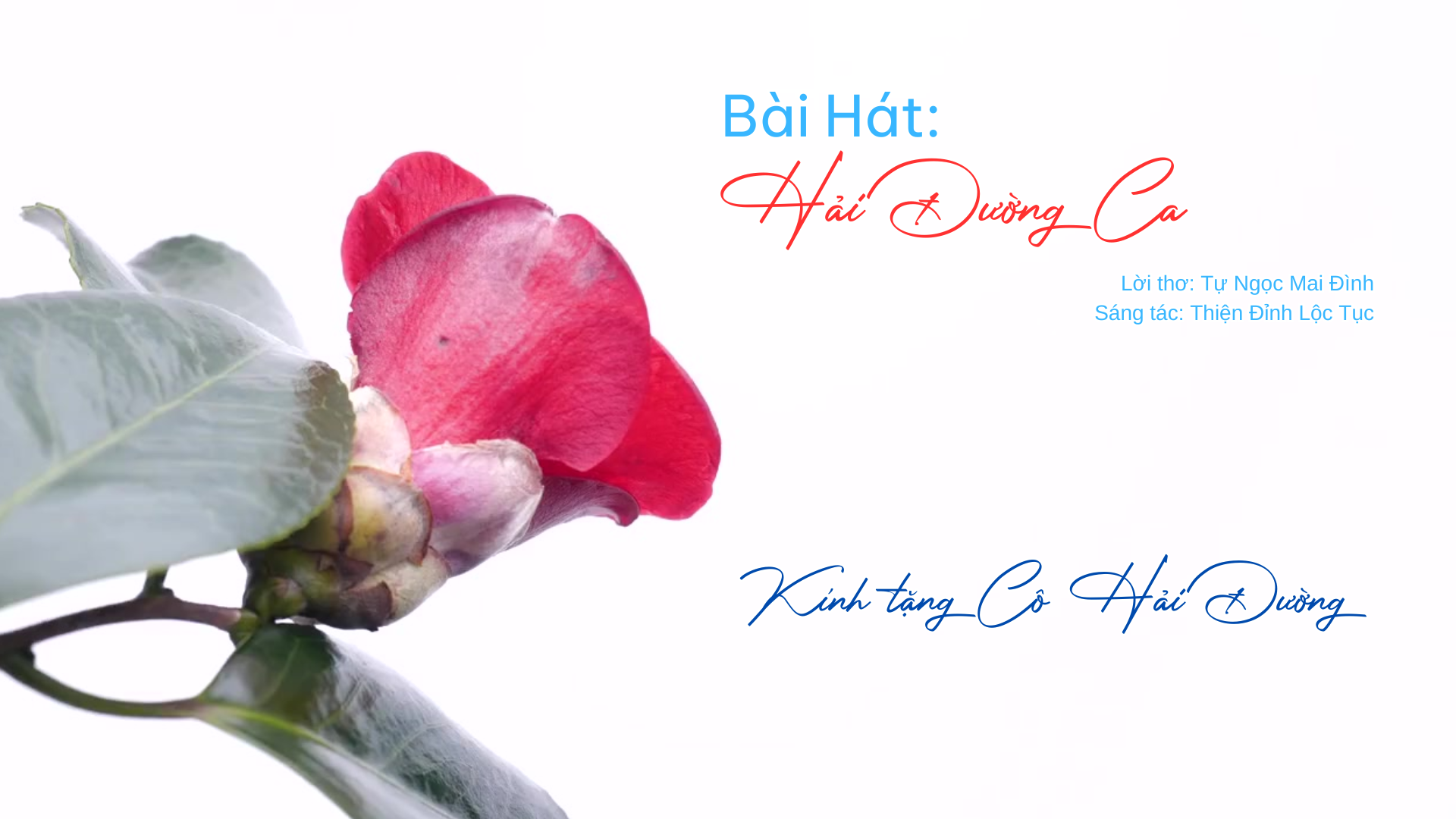 BÀI HÁT HẢI ĐƯỜNG CA